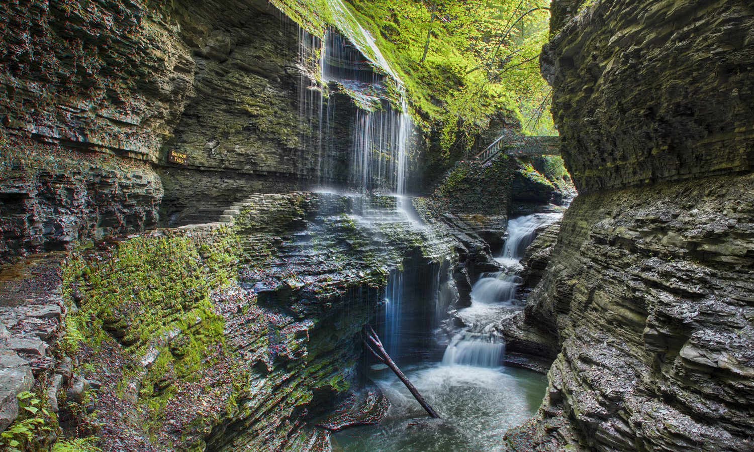 Summer in the finger lakes